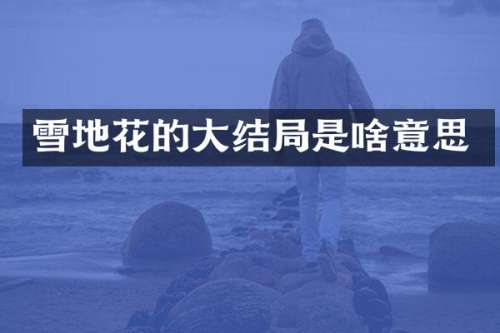雪地花的大结局是啥意思