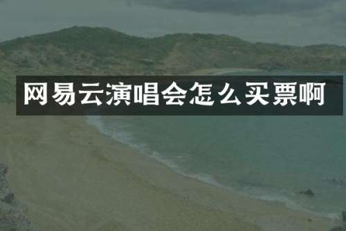网易云演唱会怎么买票啊