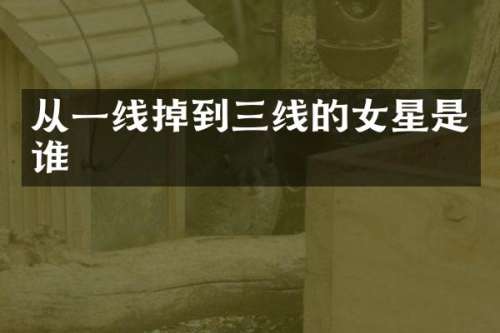 从一线掉到三线的女星是谁