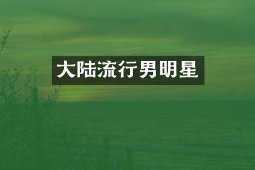 大陆流行男明星