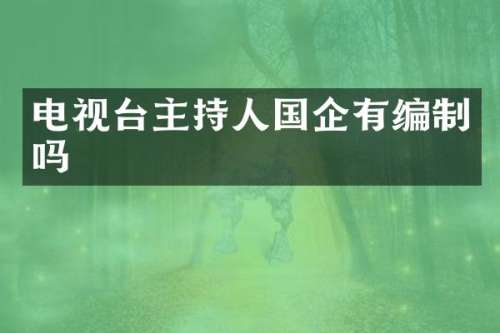 电视台主持人国企有编制吗