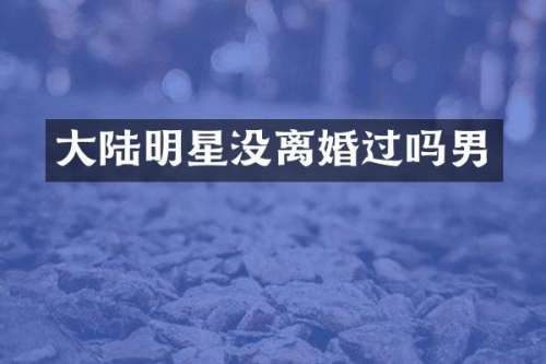 大陆明星没离婚过吗男