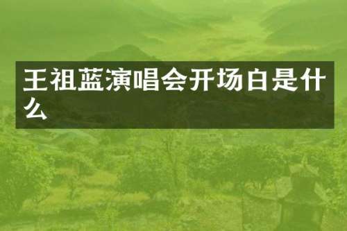 王祖蓝演唱会开场白是什么