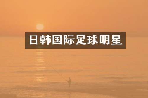 日韩国际足球明星
