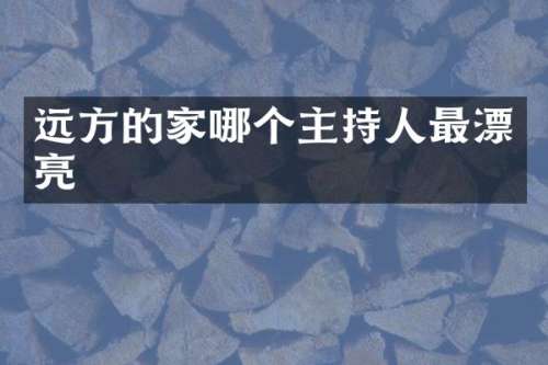 远方的家哪个主持人最漂亮