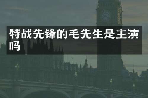 特战先锋的毛先生是主演吗