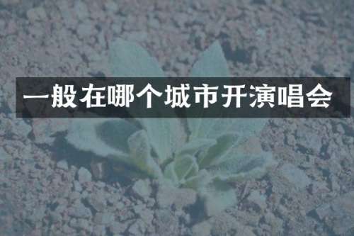 一般在哪个城市开演唱会