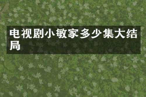 电视剧小敏家多少集大结局