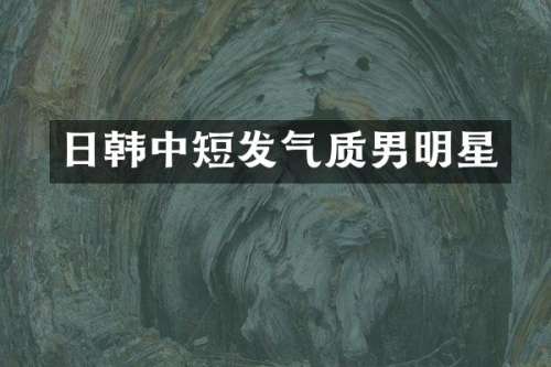 日韩中短发气质男明星