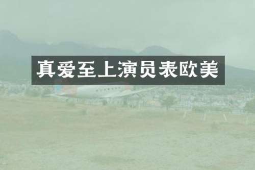 真爱至上演员表欧美