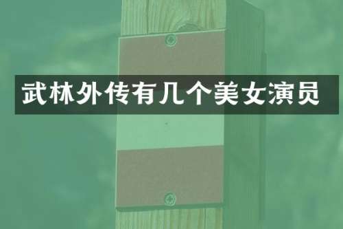 武林外传有几个演员