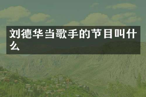 刘德华当歌手的节目叫什么