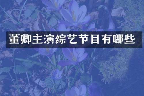 董卿主演综艺节目有哪些