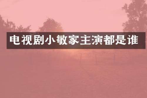 电视剧小敏家主演都是谁