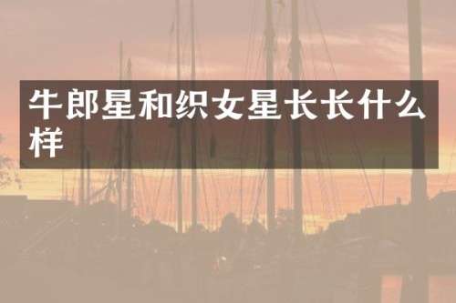 牛郎星和织女星长长什么样