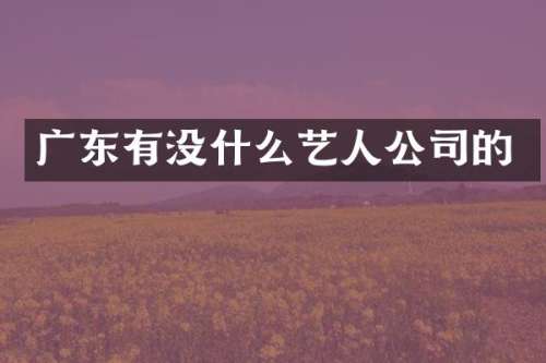 广东有没什么艺人公司的
