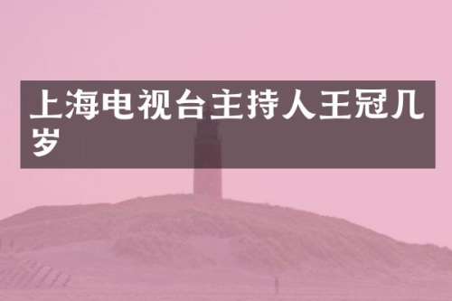上海电视台主持人王冠几岁