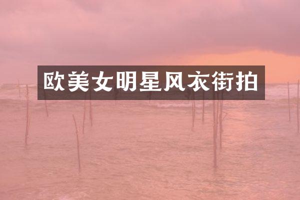 欧明星风衣街拍