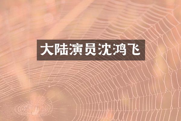 大陆演员沈鸿飞