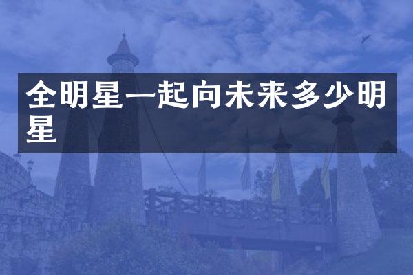 全明星一起向未来多少明星