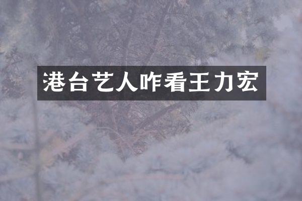 港台艺人咋看王力宏