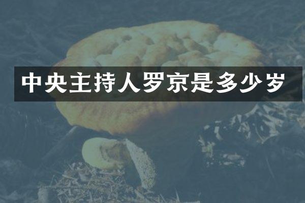 中央主持人罗京是