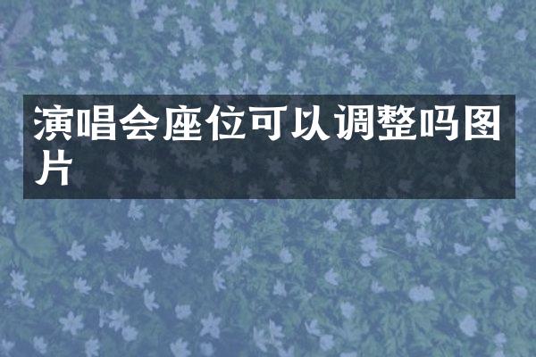 演唱会座位可以调整吗图片