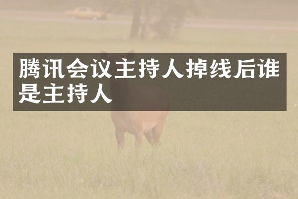 腾讯会议主持人掉线后谁是主持人