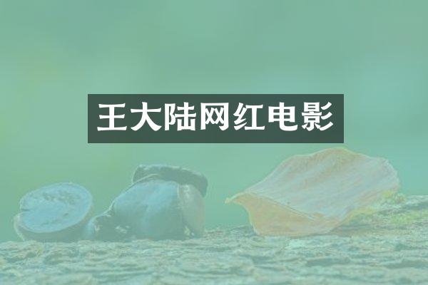 王大陆网红电影