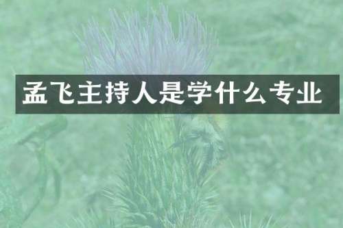 孟飞主持人是学什么专业