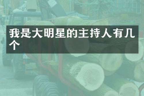 我是大明星的主持人有几个