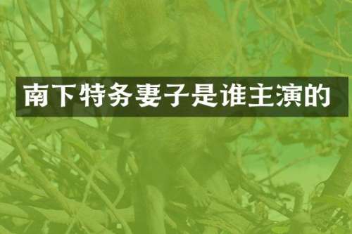 南下特务妻子是谁主演的