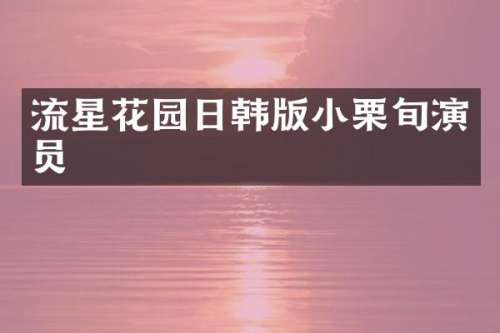 流星花园日韩版小栗旬演员