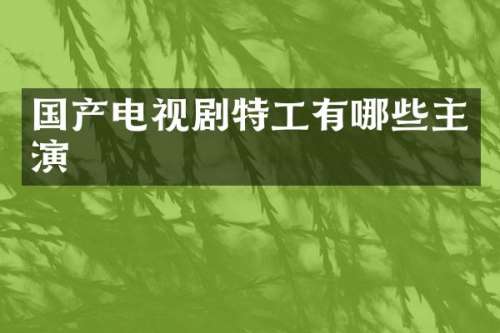 国产电视剧特工有哪些主演