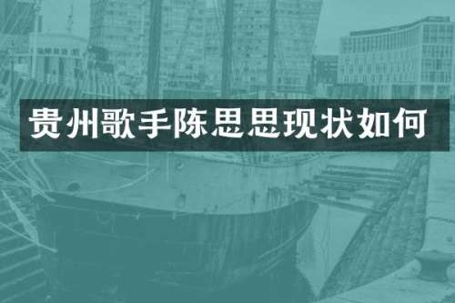 贵州歌手陈思思现状如何