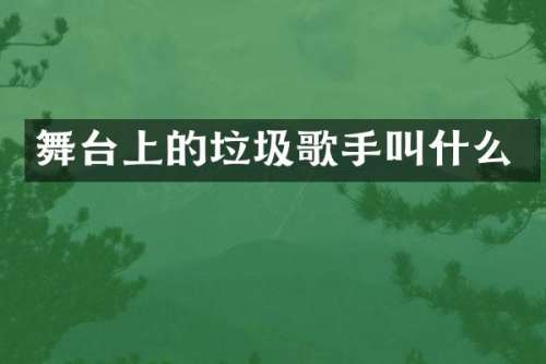 舞台上的垃圾歌手叫什么