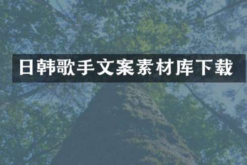 日韩歌手文案素材库下载