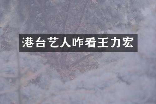 港台艺人咋看王力宏