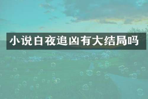 小说白夜追凶有大结局吗