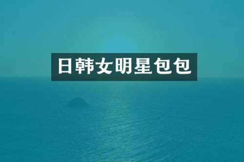 日韩女明星包包