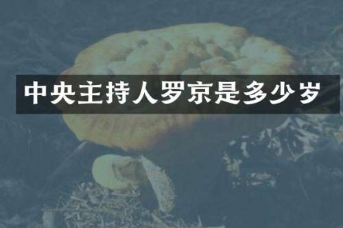 中央主持人罗京是