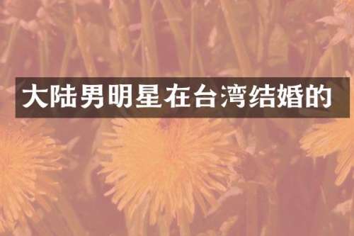 大陆男明星在台湾结婚的