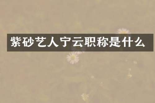 紫砂艺人宁云职称是什么