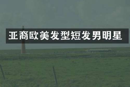 亚裔欧美发型短发男明星