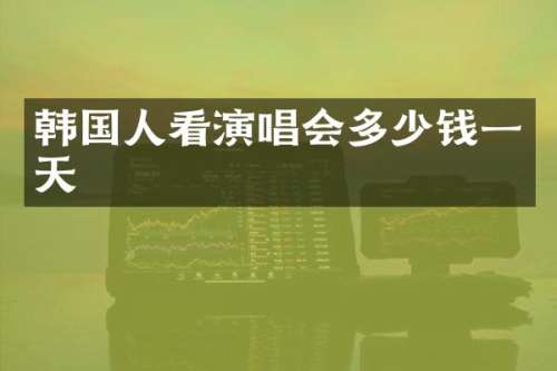 韩国人看演唱会多少钱一天