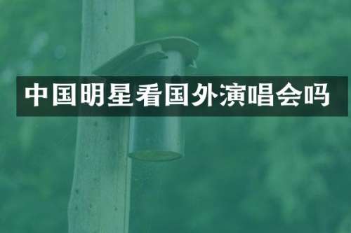 中国明星看国外演唱会吗