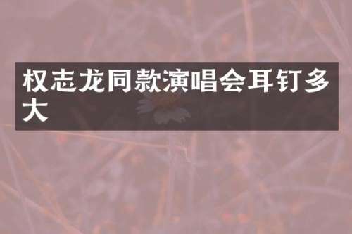 同款演唱会耳钉多大