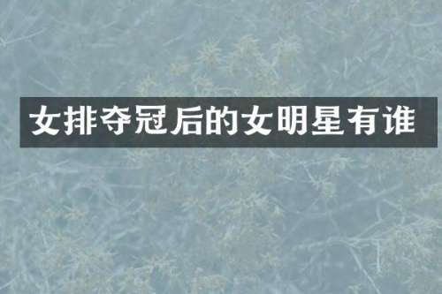 女排夺冠后的女明星有谁
