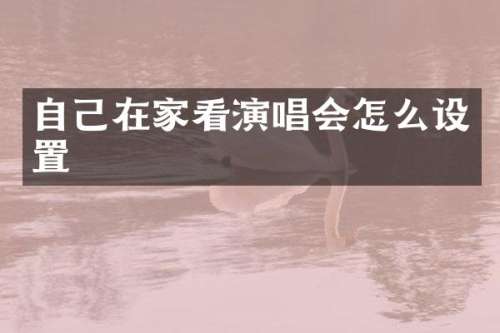 自己在家看演唱会怎么设置