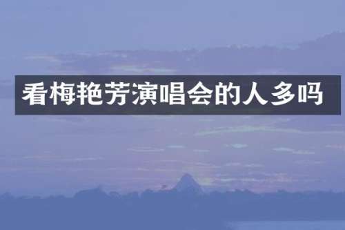看梅艳芳演唱会的人多吗